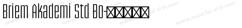 Briem Akademi Std Bo字体转换